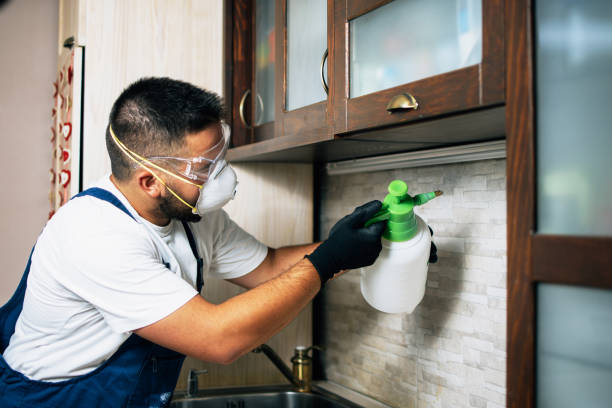 Best Best Pest Control Companies  in Hokes Bluff, AL