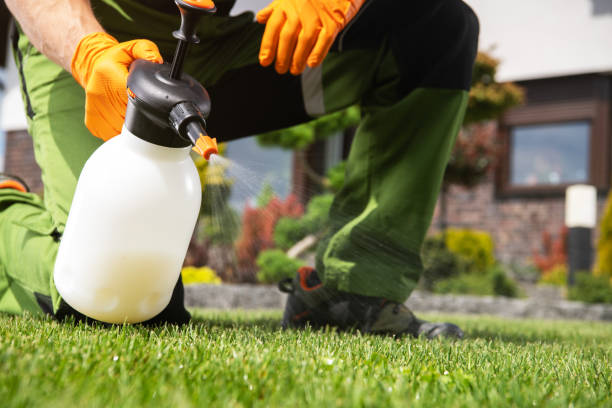Professional Pest Control in Hokes Bluff, AL