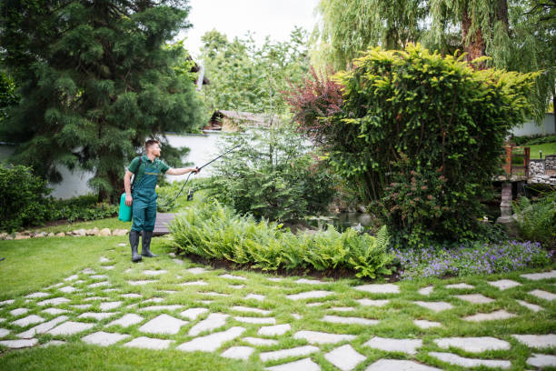 Best Local Pest Control Services  in Hokes Bluff, AL