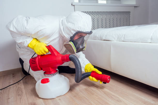 Best Cockroach Control Services  in Hokes Bluff, AL