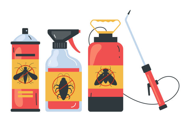 Best Termite Control Services  in Hokes Bluff, AL