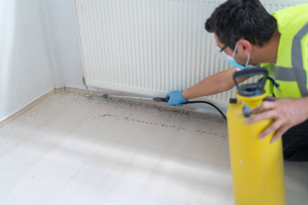 Best Pest Control for Businesses  in Hokes Bluff, AL
