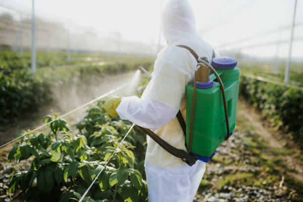  Hokes Bluff, AL Pest Control Pros